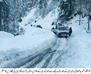 شانگلہ میں طوفانی برفباری کے چوتھے روز بھی معمولات زندگی بحال نہ ہوسکی